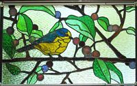 tn_window100505a.jpg